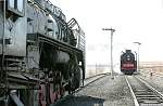 F51T3688.JPG