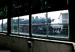 F51T3500.JPG