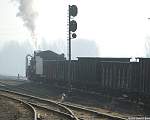 F51T3564.JPG