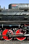 F51T3579.JPG