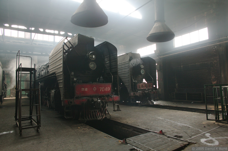 5329 T Pictures