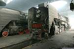 F51T5331.JPG