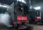 F51T5390.JPG