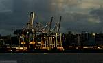 F51T5483.JPG