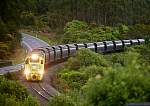 F51T5643.JPG