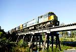 F51T5671.JPG