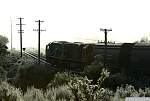 F51T5727.JPG