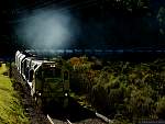 F51T5809.JPG