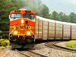 F51T9589copy.JPG