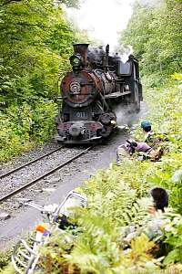 Hitting the bush to avoid a train... my bike and bike guy in foreground