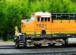 F51T2773.JPG