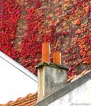 P1000074.jpg
