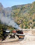 IMG_7561.jpg