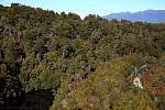 IMG_5765.jpg