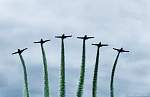 IMG_6317-weeds.jpg
