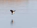 IMG_6864.jpg