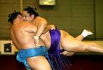 sumo1.JPG
