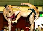 sumo2.JPG