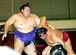 sumo4.JPG