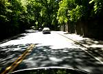 F51T2607-central park.JPG