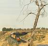 F51T1711.JPG