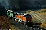 F51T4951.JPG