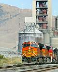 F51T5142.JPG