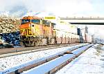 F51T4094-4475-5098.jpg