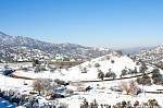 IMG_4003.jpg