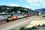 ni-wtnman-4202-dx-4179-paremata-2.jpg